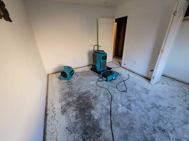 Best Basement water damage restoration  in Los Banos, CA