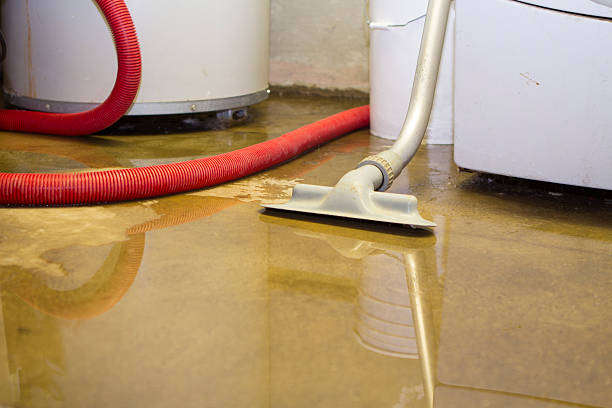 Best Flood damage cleanup  in Los Banos, CA
