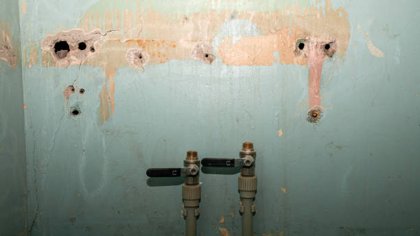 Best Water damage restoration near me  in Los Banos, CA