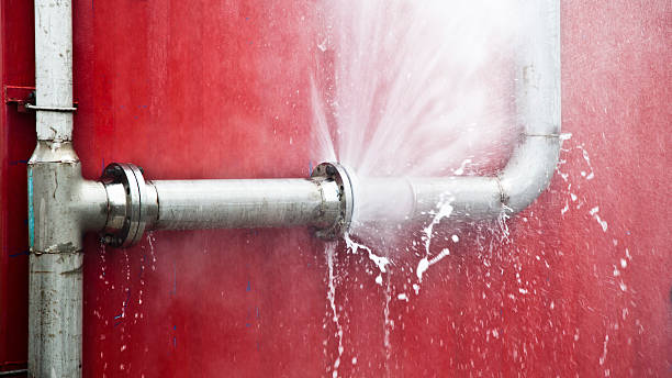 Best Mold removal after water damage  in Los Banos, CA